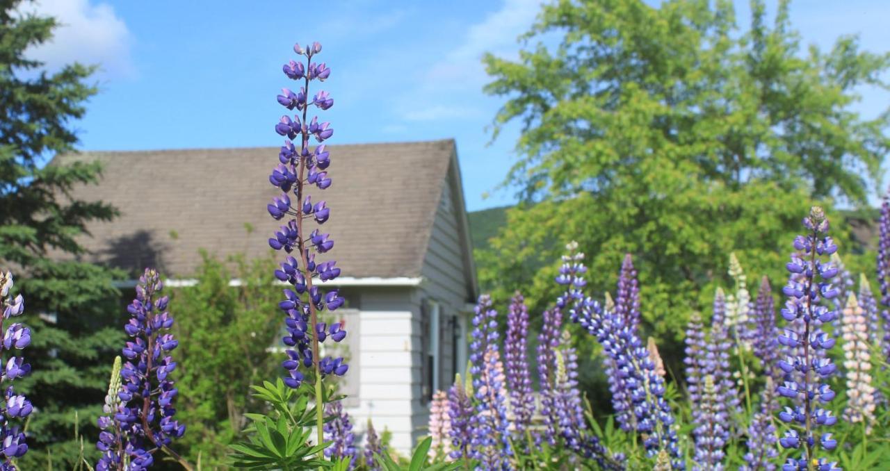 Chanterelle Inn & Cottages Baddeck Bagian luar foto